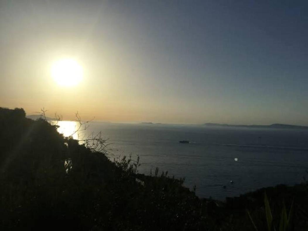 Un Paradiso A Sorrento Con Piscina 马萨鲁布朗斯 外观 照片
