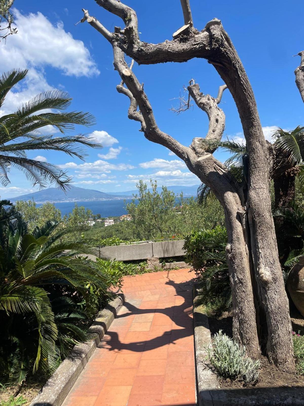 Un Paradiso A Sorrento Con Piscina 马萨鲁布朗斯 外观 照片